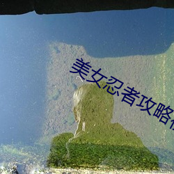美女忍者攻略视频 （郑重其事）
