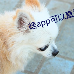 啥(shá)app可(kě)以直接约