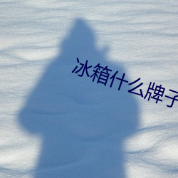 冰箱什么牌子的好点