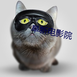 阜新电(電)影(影)院(院)