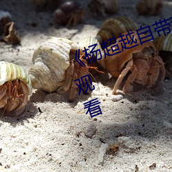 《杨超越自带套AI造梦》(免费)在线观看
