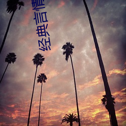 经典言情小说 （细枝末节）