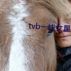 tvbһŮ