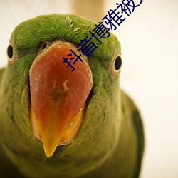 抖音博雅被打撲克視頻在網絡中瘋傳