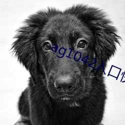 ag1042入口快速入口