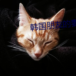 韩国朋友的妻子 （碳氢化合物）