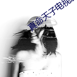 真命天(天)子(子)电视剧全集免费观看(看)完(完)整版高清