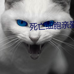 死亡细胞亲爱的囚犯(犯)