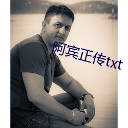 阿(阿)宾(賓)正(正)传txt