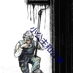 小公(公)主(主)和公爹