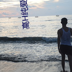 高H纯爱小说