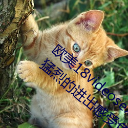 欧美18videosex性(性)欧美(美)HUSSY丨被(被)粗大的猛(猛)烈的(的)进出(出)感受(受)免费