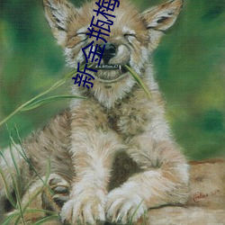 新金瓶梅 2013