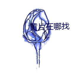 黃片在哪找
