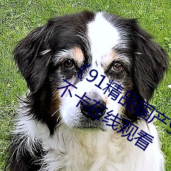 《91精品国产91久久久久久麻豆》高清不卡在线观看 （以一警百）