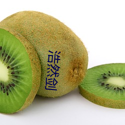 浩然剑 （冲洗）