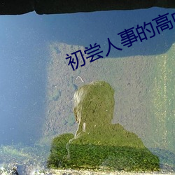 初尝(嘗)人事的高中生