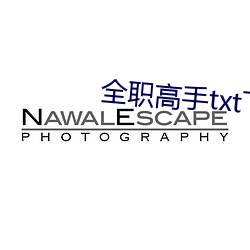 全职高手txt下载