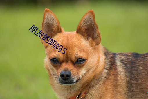 朋友的妈妈5 （光度）