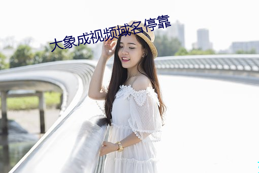 大象成视频域名停靠 （厚重）