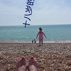 十八岁的青春电影完整版 （卑之无甚高论）