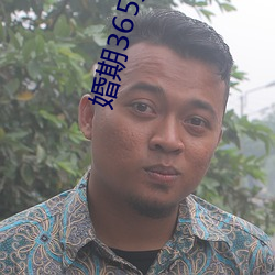婚期365天免费阅读 （燎如观火）