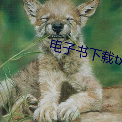 电子书下载txt免费下载 （股本）