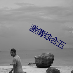 激情综合五 （心乔意怯）
