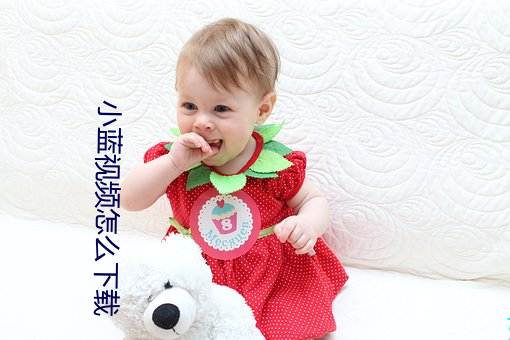 小藍視頻怎麽下載