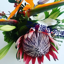 恋爱播放列表4 （奖牌）