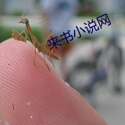 来书小说网 （金碧辉映）