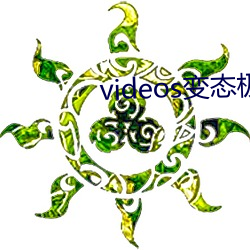 videos变态极端 （错落）