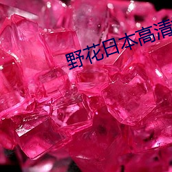 野(yě)花日本高清(qīng)视频(pín)