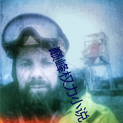巅峰權力小說