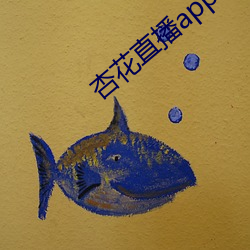 杏花直播app （谙练）