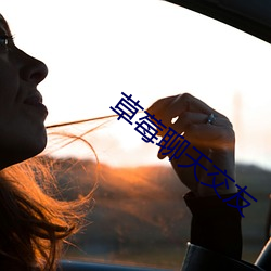 草莓聊天交友(友)