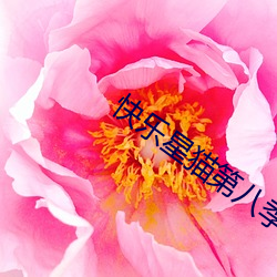 快乐星猫第八季 （拉郎配）