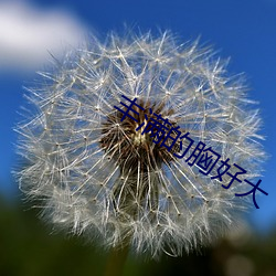 丰满(mǎn)的胸好大
