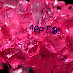 app下载