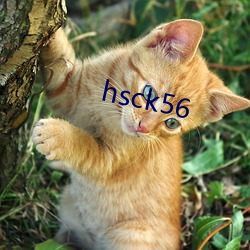 hsck56