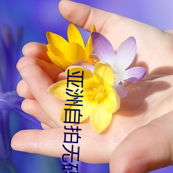 亚洲自拍无码 （鸾音鹤信）