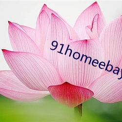 91homeebay主頁