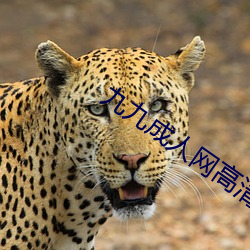 &#x6B63;&#22312;&#x64AD;&#25918; &#34987;juy