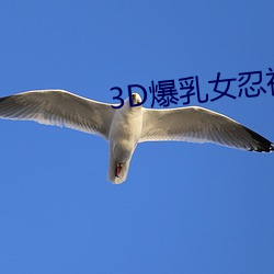 3D爆乳女忍被调教出奶水