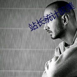 站長統計歐美