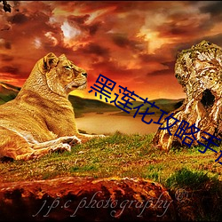 黑(hēi)莲花攻略(lüè)手册(cè)无删减(jiǎn)免费