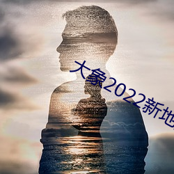 大象2022新地扯一二