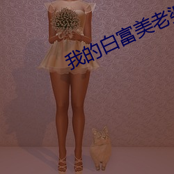 我的白富美老婆