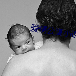 爱情公寓小说 （单程）