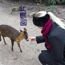 剧情片 是味儿
